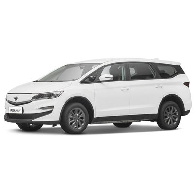 Un bon prix. 2023 Voiture électrique de luxe 4 places Lifan Maple Leaf 80v Véhicule électrique pour adultes 139L Volume du compartiment à bagages en ligne