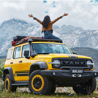 Un bon prix. 2023 Vitesse maximale 160km/h Changcheng Grand mur réservoir 300 SUV Véhicule voitures 0km voitures d'occasion SUV 2.0T Compact Suv Sedan Vente en ligne