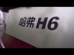 HAVAL H6 2023 SUV compact à grande vitesse Le choix ultime pour le marché des véhicules à combustible